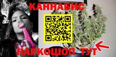 гашик Бийск