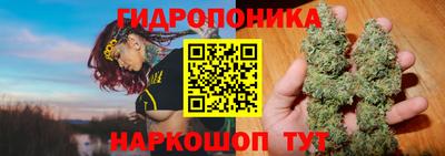 гашик Бийск