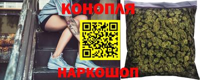 гашик Бийск