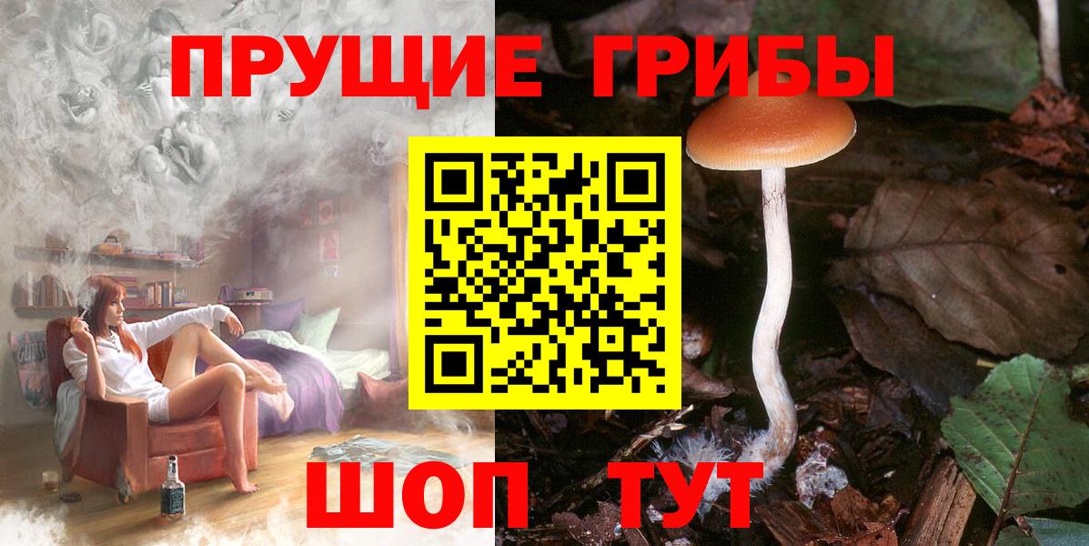Псилоцибиновые грибы GOLDEN TEACHER Аша