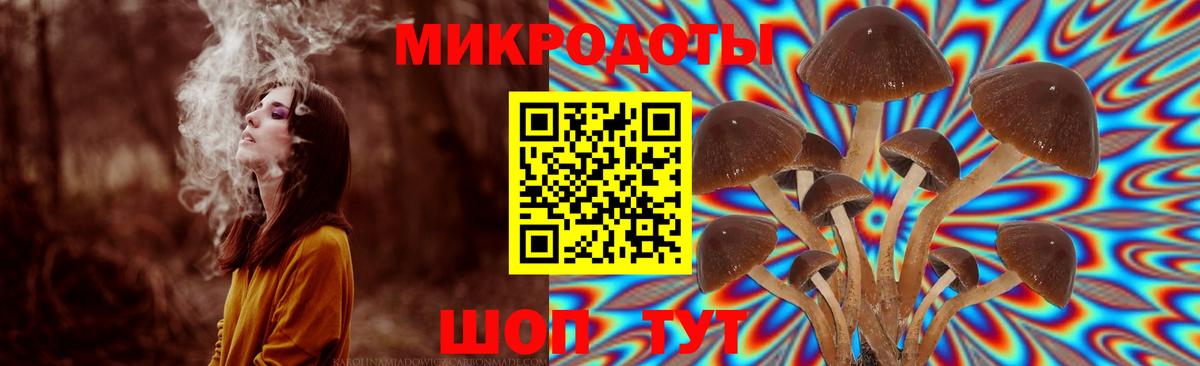 Псилоцибиновые грибы MAGIC MUSHROOMS  Псилоцибиновые грибы GOLDEN TEACHER  Аша  Вход с VPN 